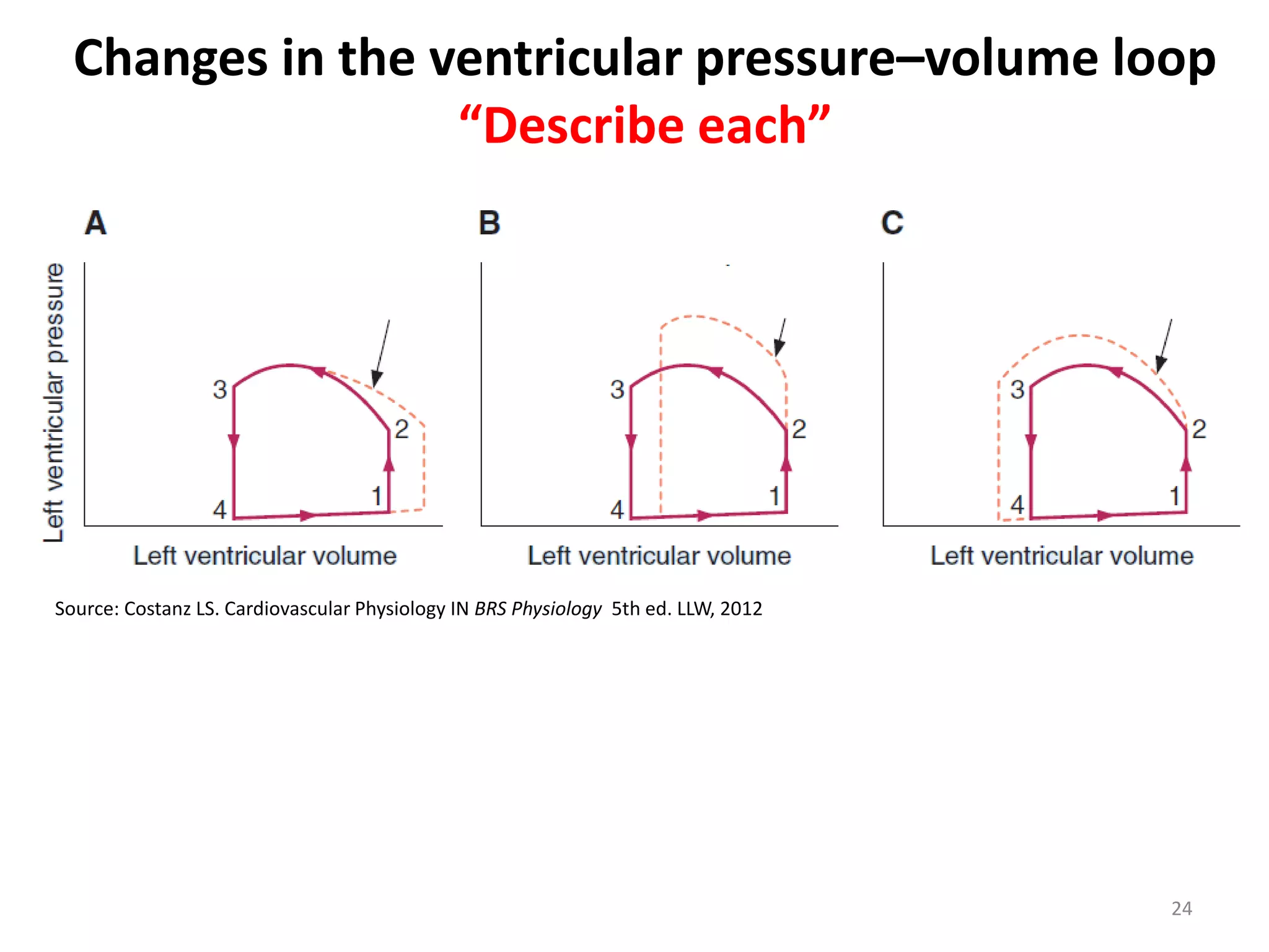 Changes in the ventricular pressure–volume loop
“Describe each”

Source: Costanz LS. Cardiovascular Physiology IN BRS Physiology 5th ed. LLW, 2012

24

 
