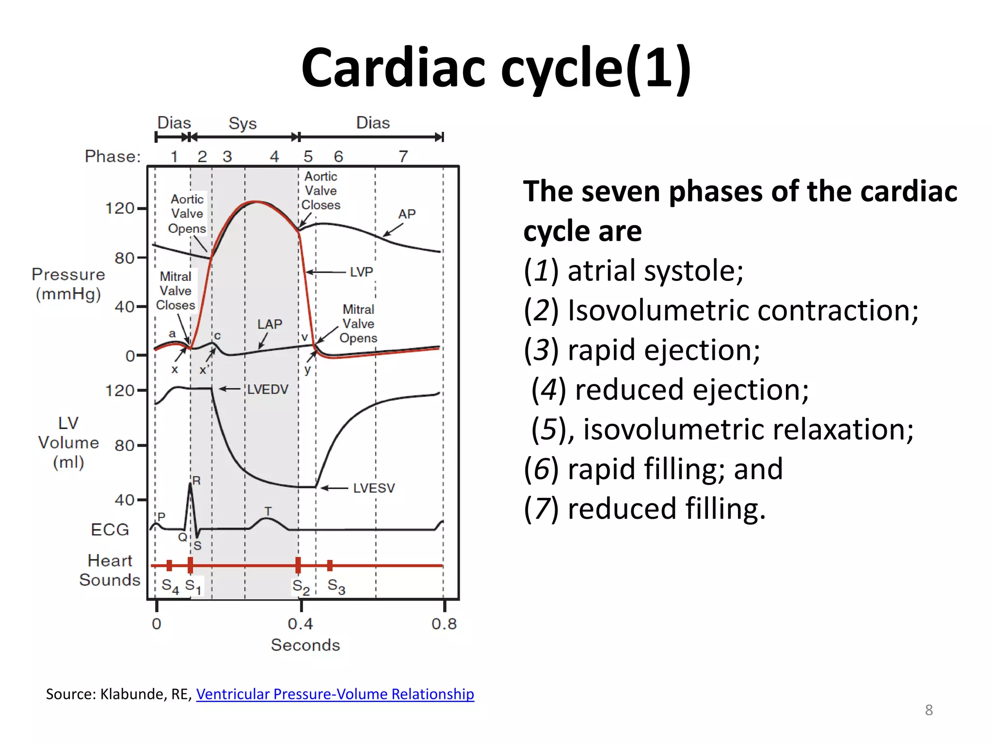 Cardiac cycle(1)
The seven phases of the cardiac
cycle are
(1) atrial systole;
(2) Isovolumetric contraction;
(3) rapid ejection;
(4) reduced ejection;
(5), isovolumetric relaxation;
(6) rapid filling; and
(7) reduced filling.

Source: Klabunde, RE, Ventricular Pressure-Volume Relationship

8

 