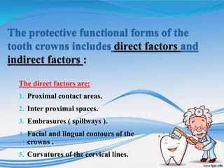 The direct factors are:
1. Proximal contact areas.
2. Inter proximal spaces.
3. Embrasures ( spillways ).
4. Facial and lingual contours of the
crowns .
5. Curvatures of the cervical lines.
 