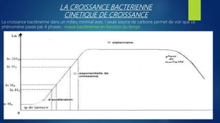 LA CROISSANCE BACTERIENNE
CINETIQUE DE CROISSANCE
La croissance bactérienne dans un milieu minimal avec 1 seule source de carbone permet de voir que ce
phénomène passe par 4 phases : masse bactérienne en fonction du temps
 