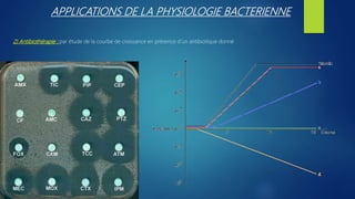 APPLICATIONS DE LA PHYSIOLOGIE BACTERIENNE
2) Antibiothérapie : par étude de la courbe de croissance en présence d’un antibiotique donné
 