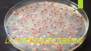 LA NUTRITION BACTERIENNE
 