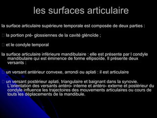 les surfaces articulaireles surfaces articulaire
la surface articulaire supérieure temporale est composée de deux parties :la surface articulaire supérieure temporale est composée de deux parties :
 la portion pré- glossiennes de la cavité glénoïde ;la portion pré- glossiennes de la cavité glénoïde ;
 et le condyle temporalet le condyle temporal
la surface articulaire inférieure mandibulaire : elle est présente par l condylela surface articulaire inférieure mandibulaire : elle est présente par l condyle
mandibulaire qui est éminence de forme ellipsoïde. Il présente deuxmandibulaire qui est éminence de forme ellipsoïde. Il présente deux
versants :versants :
 un versant antérieur convexe, arrondi ou aplati : il est articulaireun versant antérieur convexe, arrondi ou aplati : il est articulaire
 un versant postérieur aplati, triangulaire et baignant dans la synovie.un versant postérieur aplati, triangulaire et baignant dans la synovie.
L’orientation des versants antéro- interne et antéro- externe et postérieur duL’orientation des versants antéro- interne et antéro- externe et postérieur du
condyle influence les trajectoires des mouvements articulaires ou cours decondyle influence les trajectoires des mouvements articulaires ou cours de
touts les déplacements de la mandibule.touts les déplacements de la mandibule.
 