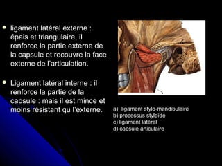  ligament latéral externe :ligament latéral externe :
épais et triangulaire, ilépais et triangulaire, il
renforce la partie externe derenforce la partie externe de
la capsule et recouvre la facela capsule et recouvre la face
externe de l’articulation.externe de l’articulation.
 Ligament latéral interne : ilLigament latéral interne : il
renforce la partie de larenforce la partie de la
capsule : mais il est mince etcapsule : mais il est mince et
moins résistant qu l’externe.moins résistant qu l’externe. a) ligament stylo-mandibulaire
b) processus styloïde
c) ligament latéral
d) capsule articulaire
 