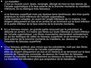  Le masséter :Le masséter :
C’est un muscle court, épais, rectangle, allongé de haut en bas étendu deC’est un muscle court, épais, rectangle, allongé de haut en bas étendu de
l’arcade zygomatique à la face externe de la branche montante du maxillairel’arcade zygomatique à la face externe de la branche montante du maxillaire
inférieure, on lui distingue trois faisceaux :inférieure, on lui distingue trois faisceaux :

a) le faisceau superficiel mais par épaisse lame tendineuse, des trois quartsa) le faisceau superficiel mais par épaisse lame tendineuse, des trois quarts
antérieure du bord inférieure de l’arcade zygomatique.antérieure du bord inférieure de l’arcade zygomatique.
Cette insertion empiète, en avant de l’angle inférieure de l’o malaire, il seCette insertion empiète, en avant de l’angle inférieure de l’o malaire, il se
dirigent obliquement en bas et en arrière et se terminent sur le bord inférieurdirigent obliquement en bas et en arrière et se terminent sur le bord inférieur
et la partie inférieur de la face externe de la branche montante.et la partie inférieur de la face externe de la branche montante.
 b) Le faisceau moyen, en grande partie recouvert par le précédent, leb) Le faisceau moyen, en grande partie recouvert par le précédent, le
déborde en arrière. Il s’insère ses fibres sur toute l’étendue du bord inférieurdéborde en arrière. Il s’insère ses fibres sur toute l’étendue du bord inférieur
de l’arcade zygomatique. Les fibres musculaires descendent verticalement,de l’arcade zygomatique. Les fibres musculaires descendent verticalement,
ce qui les distingue de celles du faisceau superficiel, et se terminent sur lace qui les distingue de celles du faisceau superficiel, et se terminent sur la
face externe de la branche montante du maxillaire, au- dessus deface externe de la branche montante du maxillaire, au- dessus de
l’insertion du faisceau superficiel.l’insertion du faisceau superficiel.
 c) Le faisceau profond, plus mince que les précédents, maît par des fibresc) Le faisceau profond, plus mince que les précédents, maît par des fibres
charmes de la face interne de l’arcade zygomatique,charmes de la face interne de l’arcade zygomatique,
elles se dirigent obliquement en bas et en dedans et se terminent sur la faceelles se dirigent obliquement en bas et en dedans et se terminent sur la face
externe de l’apophyse coronoïde, au-dessus de l’insertion du faisceauexterne de l’apophyse coronoïde, au-dessus de l’insertion du faisceau
moyen du masséter et immédiatement au-dessous du tendon du temporal.moyen du masséter et immédiatement au-dessous du tendon du temporal.
Le masséter est élévateur plus que propulseur de la mandibule.Le masséter est élévateur plus que propulseur de la mandibule.
 
