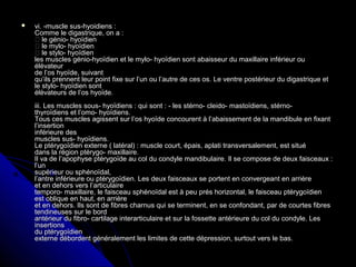 vi. -muscle sus-hyoidiens :vi. -muscle sus-hyoidiens :
Comme le digastrique, on a :Comme le digastrique, on a :
 le génio- hyoïdien le génio- hyoïdien
 le mylo- hyoïdien le mylo- hyoïdien
 le stylo- hyoïdien le stylo- hyoïdien
les muscles génio-hyoïdien et le mylo- hyoïdien sont abaisseur du maxillaire inférieur oules muscles génio-hyoïdien et le mylo- hyoïdien sont abaisseur du maxillaire inférieur ou
élévateurélévateur
de l’os hyoïde, suivantde l’os hyoïde, suivant
qu’ils prennent leur point fixe sur l’un ou l’autre de ces os. Le ventre postérieur du digastrique etqu’ils prennent leur point fixe sur l’un ou l’autre de ces os. Le ventre postérieur du digastrique et
le stylo- hyoïdien sontle stylo- hyoïdien sont
élévateurs de l’os hyoïde.élévateurs de l’os hyoïde.
iii. Les muscles sous- hyoïdiens : qui sont : - les stérno- cleido- mastoïdiens, stérno-iii. Les muscles sous- hyoïdiens : qui sont : - les stérno- cleido- mastoïdiens, stérno-
thyroïdiens et l’omo- hyoïdiens.thyroïdiens et l’omo- hyoïdiens.
Tous ces muscles agissent sur l’os hyoïde concourent à l’abaissement de la mandibule en fixantTous ces muscles agissent sur l’os hyoïde concourent à l’abaissement de la mandibule en fixant
l’insertionl’insertion
inférieure desinférieure des
muscles sus- hyoïdiens.muscles sus- hyoïdiens.
Le ptérygoïdien externe ( latéral) : muscle court, épais, aplati transversalement, est situéLe ptérygoïdien externe ( latéral) : muscle court, épais, aplati transversalement, est situé
dans la région ptérygo- maxillaire.dans la région ptérygo- maxillaire.
Il va de l’apophyse ptérygoïde au col du condyle mandibulaire. Il se compose de deux faisceaux :Il va de l’apophyse ptérygoïde au col du condyle mandibulaire. Il se compose de deux faisceaux :
l’unl’un
supérieur ou sphénoïdal,supérieur ou sphénoïdal,
l’antre inférieure ou ptérygoïdien. Les deux faisceaux se portent en convergeant en arrièrel’antre inférieure ou ptérygoïdien. Les deux faisceaux se portent en convergeant en arrière
et en dehors vers l’articulaireet en dehors vers l’articulaire
temporo- maxillaire, le faisceau sphénoïdal est à peu prés horizontal, le faisceau ptérygoïdientemporo- maxillaire, le faisceau sphénoïdal est à peu prés horizontal, le faisceau ptérygoïdien
est oblique en haut, en arrièreest oblique en haut, en arrière
et en dehors. Ils sont de fibres charnus qui se terminent, en se confondant, par de courtes fibreset en dehors. Ils sont de fibres charnus qui se terminent, en se confondant, par de courtes fibres
tendineuses sur le bordtendineuses sur le bord
antérieur du fibro- cartilage interarticulaire et sur la fossette antérieure du col du condyle. Lesantérieur du fibro- cartilage interarticulaire et sur la fossette antérieure du col du condyle. Les
insertionsinsertions
du ptérygoïdiendu ptérygoïdien
externe débordent généralement les limites de cette dépression, surtout vers le bas.externe débordent généralement les limites de cette dépression, surtout vers le bas.
 