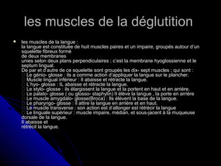 les muscles de la déglutitionles muscles de la déglutition
 les muscles de la langue :les muscles de la langue :
la langue est constituée de huit muscles paires et un impaire, groupés autour d’unla langue est constituée de huit muscles paires et un impaire, groupés autour d’un
squelette fibreux formésquelette fibreux formé
de deux membranesde deux membranes
unies selon deux plans perpendiculaires ; c’est la membrane hyoglossienne et leunies selon deux plans perpendiculaires ; c’est la membrane hyoglossienne et le
septum lingual.septum lingual.
De par et d’autre de ce squelette sont groupés les dix- sept muscles ; qui sont :De par et d’autre de ce squelette sont groupés les dix- sept muscles ; qui sont :
 Le génio- glosse : ils a comme action d’appliquer la langue sur le plancher. Le génio- glosse : ils a comme action d’appliquer la langue sur le plancher.
 Muscle lingual inférieur : Il abaisse et rétracte la langue. Muscle lingual inférieur : Il abaisse et rétracte la langue.
 L’hyo- glosse : IL abaisse et rétracte la langue. L’hyo- glosse : IL abaisse et rétracte la langue.
 Le stylo- glosse : ils élargissent la langue et la portent en haut et en arrière. Le stylo- glosse : ils élargissent la langue et la portent en haut et en arrière.
 Le palato- glosse ( ou glosso- staphylin) Il élève la langue , la porte en arrière Le palato- glosse ( ou glosso- staphylin) Il élève la langue , la porte en arrière
 Le muscle amygdalo- glosse(Broca) : Ils élèvent la base de la langue. Le muscle amygdalo- glosse(Broca) : Ils élèvent la base de la langue.
 Le pharyngo- glosse : il attire la langue en arrière et en haut. Le pharyngo- glosse : il attire la langue en arrière et en haut.
 Le muscle transverse : son action est d’allonger est rétrécir la langue Le muscle transverse : son action est d’allonger est rétrécir la langue
 Le linguale supérieur : muscle impaire, médian, et sous-jacent à la muqueuse Le linguale supérieur : muscle impaire, médian, et sous-jacent à la muqueuse
dorsale de la langue.dorsale de la langue.
Il abaisse etIl abaisse et
rétrécit la langue.rétrécit la langue.
 