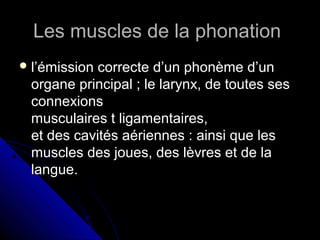 Les muscles de la phonationLes muscles de la phonation
 l’émission correcte d’un phonème d’unl’émission correcte d’un phonème d’un
organe principal ; le larynx, de toutes sesorgane principal ; le larynx, de toutes ses
connexionsconnexions
musculaires t ligamentaires,musculaires t ligamentaires,
et des cavités aériennes : ainsi que leset des cavités aériennes : ainsi que les
muscles des joues, des lèvres et de lamuscles des joues, des lèvres et de la
langue.langue.
 