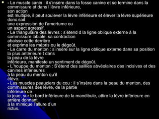  - Le muscle canin : il s’insère dans la fosse canine et se termine dans la- Le muscle canin : il s’insère dans la fosse canine et se termine dans la
commissure et dans l lèvre inférieure,commissure et dans l lèvre inférieure,
son actionson action
est multiple, il peut soulever la lèvre inférieure et élever la lèvre supérieureest multiple, il peut soulever la lèvre inférieure et élever la lèvre supérieure
donc soitdonc soit
une expression de l’amertume ouune expression de l’amertume ou
un aspect agressif.un aspect agressif.
- Le triangulaire des lèvres : s’étend d la ligne oblique externe à la- Le triangulaire des lèvres : s’étend d la ligne oblique externe à la
commissure labiale, sa contractioncommissure labiale, sa contraction
abaisse cette derrièreabaisse cette derrière
et exprime les mépris ou le dégoût.et exprime les mépris ou le dégoût.
- Le carre du menton : s’insère sur la ligne oblique externe dans sa position- Le carre du menton : s’insère sur la ligne oblique externe dans sa position
la plus antérieure t dansla plus antérieure t dans
la peau de la lèvrela peau de la lèvre
inférieure, manifeste un sentiment de dégoût.inférieure, manifeste un sentiment de dégoût.
- L’houppe du menton : S’étend des saillies abvéolaires des incisives et des- L’houppe du menton : S’étend des saillies abvéolaires des incisives et des
canines inférieurescanines inférieures
à la peau du menton qu’ilà la peau du menton qu’il
élève.élève.
- Les muscles peauciers du cou : il s’insère dans la peau du menton, des- Les muscles peauciers du cou : il s’insère dans la peau du menton, des
commissures des lèvre, de la partiecommissures des lèvre, de la partie
inférieure deinférieure de
la joue, sur le bord inférieure de la mandibule, attire la lèvre inférieure enla joue, sur le bord inférieure de la mandibule, attire la lèvre inférieure en
arrière donnantarrière donnant
à la mimique l’allure d’unà la mimique l’allure d’un
rictus.rictus.
 