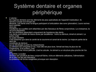 Système dentaire et organesSystème dentaire et organes
périphériquepériphérique
 L’odonte :L’odonte :
les organes dentaire sont les éléments les plus spécialisés de l’appareil masticateur, ilsles organes dentaire sont les éléments les plus spécialisés de l’appareil masticateur, ils
serves à couper et à broyer lesserves à couper et à broyer les
aliments. Les dents avec la langue participent à l’articulation des sons (phonation). Leurs racinesaliments. Les dents avec la langue participent à l’articulation des sons (phonation). Leurs racines
sont inséréessont insérées
dans lesdans les
maxillaires aux quelles sont attachées par des faisceaux de fibres conjonctives. La croissance, lamaxillaires aux quelles sont attachées par des faisceaux de fibres conjonctives. La croissance, la
vie et la disparitionvie et la disparition
de l’os alvéolaire dépendent uniquement de l’existence des dents.de l’os alvéolaire dépendent uniquement de l’existence des dents.
Les dents sont bâties de tissus dures par excellence : ivoire ou denture, émail et cément. LaLes dents sont bâties de tissus dures par excellence : ivoire ou denture, émail et cément. La
partie mollepartie molle
ou pulpe dentaireou pulpe dentaire
n’est présente que dans la cavité de la couronne et canal de la racine. La majeure partie de lan’est présente que dans la cavité de la couronne et canal de la racine. La majeure partie de la
dent estdent est
constituée de dentureconstituée de denture
qui se développe à partir du mésenchyme.qui se développe à partir du mésenchyme.
La dentaire est comparée à l’os, mais elle est plus dure, l’émail est tissu le plus dur deLa dentaire est comparée à l’os, mais elle est plus dure, l’émail est tissu le plus dur de
l’organisme, à la surface, il estl’organisme, à la surface, il est
recouvert d’une mince pellicule, c’est la cuticule ; le cément a un structure plus proche de l’osrecouvert d’une mince pellicule, c’est la cuticule ; le cément a un structure plus proche de l’os
queque
la dentine. La pulpela dentine. La pulpe
dentaire est constitué de tissu conjonctif lâche, riche en éléments cellulaires, l’alimentationdentaire est constitué de tissu conjonctif lâche, riche en éléments cellulaires, l’alimentation
de la dent se fait ses faisceaux.de la dent se fait ses faisceaux.
La présence de forces exagérées provoque son résorption.La présence de forces exagérées provoque son résorption.
 