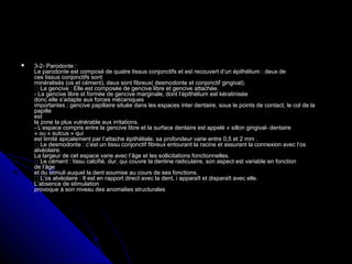  3-2- Parodonte :3-2- Parodonte :
Le parodonte est composé de quatre tissus conjonctifs et est recouvert d’un épithélium : deux deLe parodonte est composé de quatre tissus conjonctifs et est recouvert d’un épithélium : deux de
ces tissus conjonctifs sontces tissus conjonctifs sont
minéralisés (os et cément), deux sont fibreux( desmodonte et conjonctif gingival).minéralisés (os et cément), deux sont fibreux( desmodonte et conjonctif gingival).
 La gencive : Elle est composée de gencive libre et gencive attachée. La gencive : Elle est composée de gencive libre et gencive attachée.
- La gencive libre st formée de gencive marginale, dont l’épithélium est kératinisée- La gencive libre st formée de gencive marginale, dont l’épithélium est kératinisée
donc elle s’adapte aux forces mécaniquesdonc elle s’adapte aux forces mécaniques
importantes ; gencive papillaire située dans les espaces inter dentaire, sous le points de contact, le col de laimportantes ; gencive papillaire située dans les espaces inter dentaire, sous le points de contact, le col de la
papillepapille
estest
la zone la plus vulnérable aux irritations.la zone la plus vulnérable aux irritations.
- L’espace compris entre la gencive libre et la surface dentaire est appelé « sillon gingival- dentaire- L’espace compris entre la gencive libre et la surface dentaire est appelé « sillon gingival- dentaire
» ou « sulcus » qui» ou « sulcus » qui
est limité apicalement par l’attache épithéliale, sa profondeur varie entre 0,5 et 2 mm .est limité apicalement par l’attache épithéliale, sa profondeur varie entre 0,5 et 2 mm .
 Le desmodonte : c’est un tissu conjonctif fibreux entourant la racine et assurant la connexion avec l’os Le desmodonte : c’est un tissu conjonctif fibreux entourant la racine et assurant la connexion avec l’os
alvéolaire.alvéolaire.
La largeur de cet espace varie avec l’âge et les sollicitations fonctionnelles.La largeur de cet espace varie avec l’âge et les sollicitations fonctionnelles.
 Le cément : tissu calcifié, dur, qui couvre la dentine radiculaire, son aspect est variable en fonction Le cément : tissu calcifié, dur, qui couvre la dentine radiculaire, son aspect est variable en fonction
de l’âgede l’âge
et du stimuli auquel la dent soumise au cours de ses fonctions.et du stimuli auquel la dent soumise au cours de ses fonctions.
 L’os alvéolaire : Il est en rapport direct avec la dent, i apparaît et disparaît avec elle. L’os alvéolaire : Il est en rapport direct avec la dent, i apparaît et disparaît avec elle.
L’absence de stimulationL’absence de stimulation
provoque à son niveau des anomalies structuralesprovoque à son niveau des anomalies structurales
 