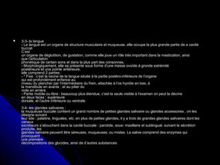  3-3- la langue3-3- la langue
- La langue est un organe de structure musculaire et muqueuse, elle occupe la plus grande partie de a cavité- La langue est un organe de structure musculaire et muqueuse, elle occupe la plus grande partie de a cavité
buccal.buccal.
C’estC’est
un organe de déglutition, de gustation, comme elle joue un rôle très important dans la mastication, ainsiun organe de déglutition, de gustation, comme elle joue un rôle très important dans la mastication, ainsi
que l’articulationque l’articulation
phonétique de certain sons et dans la plus part des consonnes.phonétique de certain sons et dans la plus part des consonnes.
- Morphologiquement, elle se présente sous forme d’une masse ovoïde à gronde extrémité- Morphologiquement, elle se présente sous forme d’une masse ovoïde à gronde extrémité
postérieure et une pointe antérieure,postérieure et une pointe antérieure,
elle comprend 2 parties :elle comprend 2 parties :
- * Fixe : c’est la racine de la langue située à la partie postèro-inférieure de l’organe- * Fixe : c’est la racine de la langue située à la partie postèro-inférieure de l’organe
qui est profondément enfance auqui est profondément enfance au
niveau du plancher par l’intermédiaire du frein, attachée à l’os hyoïde en bas, àniveau du plancher par l’intermédiaire du frein, attachée à l’os hyoïde en bas, à
la mandibule en avants , et au pilier dula mandibule en avants , et au pilier du
voile en arrière.voile en arrière.
- Partie mobile ou libre : beaucoup plus étendue, c’est la seule visible à l’examen on peut la décrire- Partie mobile ou libre : beaucoup plus étendue, c’est la seule visible à l’examen on peut la décrire
en deux faces : supérieureen deux faces : supérieure
dorsale, et l’autre inférieure ou ventrale.dorsale, et l’autre inférieure ou ventrale.
3-4- les glandes salivaires :3-4- les glandes salivaires :
la muqueuse buccale contient un grand nombre de petites glandes salivaire ou glandes accessoires , on lesla muqueuse buccale contient un grand nombre de petites glandes salivaire ou glandes accessoires , on les
désigne suivantdésigne suivant
leur site : palatine, linguales, etc. en plus de petites glandes, il y a trois de grandes glandes salivaires dont lesleur site : palatine, linguales, etc. en plus de petites glandes, il y a trois de grandes glandes salivaires dont les
canauxcanaux
excréteurs s’abouchent dans la cavité buccale : parotide, sous- maxillaire et sublingual. suivant la sécrétionexcréteurs s’abouchent dans la cavité buccale : parotide, sous- maxillaire et sublingual. suivant la sécrétion
produite, lesproduite, les
glandes salivaire peuvent être séreuses, muqueuses, ou mixtes. La salive comprend des enzymes quiglandes salivaire peuvent être séreuses, muqueuses, ou mixtes. La salive comprend des enzymes qui
provoquentprovoquent
une premièreune première
décompositions des glucides, ainsi de d’autres substances.décompositions des glucides, ainsi de d’autres substances.
 