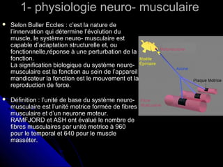 1- physiologie neuro- musculaire1- physiologie neuro- musculaire
 Selon Buller Eccles : c’est la nature deSelon Buller Eccles : c’est la nature de
l’innervation qui détermine l’évolution dul’innervation qui détermine l’évolution du
muscle, le système neuro- musculaire estmuscle, le système neuro- musculaire est
capable d’adaptation structurelle et, oucapable d’adaptation structurelle et, ou
fonctionnelle,réponse à une perturbation de lafonctionnelle,réponse à une perturbation de la
fonction.fonction.
La signification biologique du système neuro-La signification biologique du système neuro-
musculaire est la fonction au sein de l’appareilmusculaire est la fonction au sein de l’appareil
mandicateur la fonction est le mouvement et lamandicateur la fonction est le mouvement et la
reproduction de force.reproduction de force.
 Définition : l’unité de base du système neuro-Définition : l’unité de base du système neuro-
musculaire est l’unité motrice formée de fibresmusculaire est l’unité motrice formée de fibres
musculaire et d’un neurone moteur.musculaire et d’un neurone moteur.
RAMFJORD et ASH ont évalué le nombre deRAMFJORD et ASH ont évalué le nombre de
fibres musculaires par unité motrice à 960fibres musculaires par unité motrice à 960
pour le temporal et 640 pour le musclepour le temporal et 640 pour le muscle
masséter.masséter.
 
