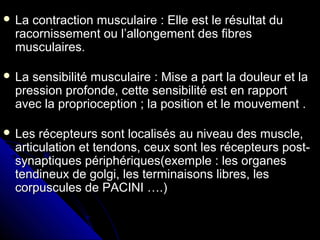 La contraction musculaire : Elle est le résultat duLa contraction musculaire : Elle est le résultat du
racornissement ou l’allongement des fibresracornissement ou l’allongement des fibres
musculaires.musculaires.
 La sensibilité musculaire : Mise a part la douleur et laLa sensibilité musculaire : Mise a part la douleur et la
pression profonde, cette sensibilité est en rapportpression profonde, cette sensibilité est en rapport
avec la proprioception ; la position et le mouvement .avec la proprioception ; la position et le mouvement .
 Les récepteurs sont localisés au niveau des muscle,Les récepteurs sont localisés au niveau des muscle,
articulation et tendons, ceux sont les récepteurs post-articulation et tendons, ceux sont les récepteurs post-
synaptiques périphériques(exemple : les organessynaptiques périphériques(exemple : les organes
tendineux de golgi, les terminaisons libres, lestendineux de golgi, les terminaisons libres, les
corpuscules de PACINI ….)corpuscules de PACINI ….)
 