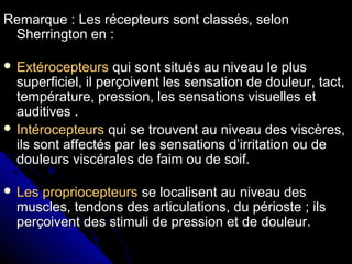 Remarque : Les récepteurs sont classés, selonRemarque : Les récepteurs sont classés, selon
Sherrington en :Sherrington en :
 ExtérocepteursExtérocepteurs qui sont situés au niveau le plusqui sont situés au niveau le plus
superficiel, il perçoivent les sensation de douleur, tact,superficiel, il perçoivent les sensation de douleur, tact,
température, pression, les sensations visuelles ettempérature, pression, les sensations visuelles et
auditives .auditives .
 IntérocepteursIntérocepteurs qui se trouvent au niveau des viscères,qui se trouvent au niveau des viscères,
ils sont affectés par les sensations d’irritation ou deils sont affectés par les sensations d’irritation ou de
douleurs viscérales de faim ou de soif.douleurs viscérales de faim ou de soif.
 Les propriocepteursLes propriocepteurs se localisent au niveau desse localisent au niveau des
muscles, tendons des articulations, du périoste ; ilsmuscles, tendons des articulations, du périoste ; ils
perçoivent des stimuli de pression et de douleur.perçoivent des stimuli de pression et de douleur.
 