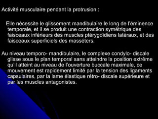 Activité musculaire pendant la protrusion :Activité musculaire pendant la protrusion :
Elle nécessite le glissement mandibulaire le long de l’éminenceElle nécessite le glissement mandibulaire le long de l’éminence
temporale, et il se produit une contraction symétrique destemporale, et il se produit une contraction symétrique des
faisceaux inférieurs des muscles ptérygoïdiens latéraux, et desfaisceaux inférieurs des muscles ptérygoïdiens latéraux, et des
faisceaux superficiels des masséters.faisceaux superficiels des masséters.
Au niveau temporo- mandibulaire, le complexe condylo- discaleAu niveau temporo- mandibulaire, le complexe condylo- discale
glisse sous le plan temporal sans atteindre la position extrêmeglisse sous le plan temporal sans atteindre la position extrême
qu’il atteint au niveau de l’ouverture buccale maximale, cequ’il atteint au niveau de l’ouverture buccale maximale, ce
mouvement est rapidement limité par la tension des ligamentsmouvement est rapidement limité par la tension des ligaments
capsulaires, par la lame élastique rétro- discale supérieure etcapsulaires, par la lame élastique rétro- discale supérieure et
par les muscles antagonistes.par les muscles antagonistes.
 