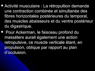  Activité musculaire : La rétropultion demandeActivité musculaire : La rétropultion demande
une contraction combinée et simultanée desune contraction combinée et simultanée des
fibres horizontales postérieures du temporal,fibres horizontales postérieures du temporal,
des muscles abaisseurs et du ventre postérieurdes muscles abaisseurs et du ventre postérieur
du digastrique.du digastrique.
 Pour Ackerman, le faisceau profond duPour Ackerman, le faisceau profond du
masséters aurait également une actionmasséters aurait également une action
retropulsive, ce muscle verticale étant, enretropulsive, ce muscle verticale étant, en
propulsion, oblique par rapport au planpropulsion, oblique par rapport au plan
d’occlusion.d’occlusion.
 