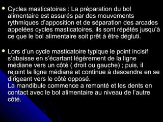  Cycles masticatoires : La préparation du bolCycles masticatoires : La préparation du bol
alimentaire est assurés par des mouvementsalimentaire est assurés par des mouvements
rythmiques d’apposition et de séparation des arcadesrythmiques d’apposition et de séparation des arcades
appelées cycles masticatoires, ils sont répétés jusqu’àappelées cycles masticatoires, ils sont répétés jusqu’à
ce que le bol alimentaire soit prêt à être dégluti.ce que le bol alimentaire soit prêt à être dégluti.
 Lors d’un cycle masticatoire typique le point incisifLors d’un cycle masticatoire typique le point incisif
s’abaisse en s’écartant légèrement de la lignes’abaisse en s’écartant légèrement de la ligne
médiane vers un côté ( droit ou gauche) ; puis, ilmédiane vers un côté ( droit ou gauche) ; puis, il
rejoint la ligne médiane et continue à descendre en serejoint la ligne médiane et continue à descendre en se
dirigeant vers le côté opposé.dirigeant vers le côté opposé.
La mandibule commence a remonté et les dents enLa mandibule commence a remonté et les dents en
contact avec le bol alimentaire au niveau de l’autrecontact avec le bol alimentaire au niveau de l’autre
côté.côté.
 