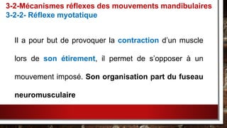 Il a pour but de provoquer la contraction d’un muscle
lors de son étirement, il permet de s’opposer à un
mouvement imposé. Son organisation part du fuseau
neuromusculaire
3-2-Mécanismes réflexes des mouvements mandibulaires
3-2-2- Réflexe myotatique
 