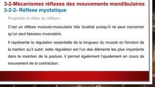 Propriété et rôles du réflexe :
C’est un réflexe musculo-musculaire très localisé puisqu’il ne peut concerner
qu’un seul faisceau musculaire.
Il représente la régulation essentielle de la longueur du muscle en fonction de
la traction qu’il subit, cette régulation est l’un des éléments les plus importants
dans le maintien de la posture, il permet également l’ajustement en cours de
mouvement de la contraction.
3-2-Mécanismes réflexes des mouvements mandibulaires
3-2-2- Réflexe myotatique
 