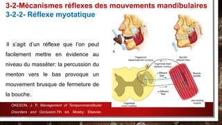 3-2-Mécanismes réflexes des mouvements mandibulaires
3-2-2- Réflexe myotatique
Il s’agit d’un réflexe que l’on peut
facilement mettre en évidence au
niveau du masséter: la percussion du
menton vers le bas provoque un
mouvement brusque de fermeture de
la bouche.
OKESON, J. P. Management of Temporomandibular
Disorders and Occlusion.7th ed. Mosby: Elsevier,
2013.632p.
 