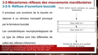 Il provoque une ouverture de la bouche en
réponse à un stimulus nociceptif provoqué
par la fermeture buccale.
Les caractéristiques neurophysiologiques de
ce type de réflexe sont très différentes de
celles des réflexes d’étirement.
3-2-Mécanismes réflexes des mouvements mandibulaires
3-2-5- Réflexe d’ouverture buccale
BOUDHRAA, W. Contribution à l’étude de la posture céphalique dans la
physiologie et la physiopathologie de l’appareil manducateur. Nancy :
université Henri Poincare Nancy. 153p.Th. Etat : Chir dent : Henri
poincare : 2011.
 