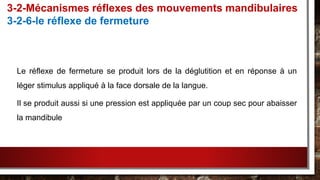 Le réflexe de fermeture se produit lors de la déglutition et en réponse à un
léger stimulus appliqué à la face dorsale de la langue.
Il se produit aussi si une pression est appliquée par un coup sec pour abaisser
la mandibule
3-2-Mécanismes réflexes des mouvements mandibulaires
3-2-6-le réflexe de fermeture
 