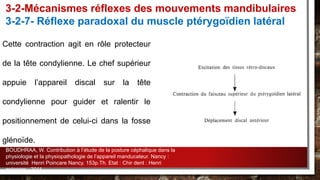 Cette contraction agit en rôle protecteur
de la tête condylienne. Le chef supérieur
appuie l’appareil discal sur la tête
condylienne pour guider et ralentir le
positionnement de celui-ci dans la fosse
glénoïde.
3-2-Mécanismes réflexes des mouvements mandibulaires
3-2-7- Réflexe paradoxal du muscle ptérygoïdien latéral
BOUDHRAA, W. Contribution à l’étude de la posture céphalique dans la
physiologie et la physiopathologie de l’appareil manducateur. Nancy :
université Henri Poincare Nancy. 153p.Th. Etat : Chir dent : Henri
poincare : 2011.
 