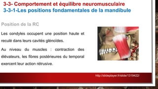 Position de la RC
Les condyles occupent une position haute et
reculé dans leurs cavités glénoïdes.
Au niveau du muscles : contraction des
élévateurs, les fibres postérieures du temporal
exercent leur action rétrusive.
3-3- Comportement et équilibre neuromusculaire
3-3-1-Les positions fondamentales de la mandibule
http://slideplayer.fr/slide/1319422/
 