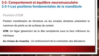 Position d’ICM
Position mandibulaire de fermeture où les arcades dentaires présentent le
maximum de points ou de surfaces de contact.
ATM: Un léger glissement de la tête condylienne sous la face inférieure du
ménisque.
Au niveau du muscles : Un renforcement de la contraction des élévateurs
3-3- Comportement et équilibre neuromusculaire
3-3-1-Les positions fondamentales de la mandibule
 