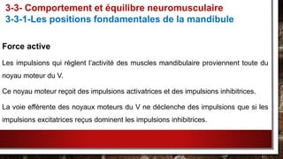 Force active
Les impulsions qui règlent l’activité des muscles mandibulaire proviennent toute du
noyau moteur du V.
Ce noyau moteur reçoit des impulsions activatrices et des impulsions inhibitrices.
La voie efférente des noyaux moteurs du V ne déclenche des impulsions que si les
impulsions excitatrices reçus dominent les impulsions inhibitrices.
3-3- Comportement et équilibre neuromusculaire
3-3-1-Les positions fondamentales de la mandibule
 
