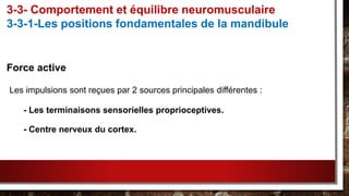 Force active
Les impulsions sont reçues par 2 sources principales différentes :
- Les terminaisons sensorielles proprioceptives.
- Centre nerveux du cortex.
3-3- Comportement et équilibre neuromusculaire
3-3-1-Les positions fondamentales de la mandibule
 