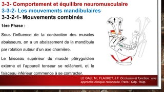 1ère Phase :
Sous l’influence de la contraction des muscles
abaisseurs, on a un abaissement de la mandibule
par rotation autour d’un axe charnière.
Le faisceau supérieur du muscle ptérygoïdien
externe et l’appareil tenseur se relâchent, et le
faisceau inférieur commence à se contracter.
3-3- Comportement et équilibre neuromusculaire
3-3-2- Les mouvements mandibulaires
3-3-2-1- Mouvements combinés
LE GALI, M ; FLAURET, J.F. Occlusion et fonction : une
approche clinique rationnelle. Paris : Cdp. 160p.
 