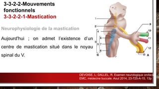 Neurophysiologie de la mastication
Aujourd'hui ; on admet l’existence d’un
centre de mastication situé dans le noyau
spinal du V.
3-3-2-2-Mouvements
fonctionnels
3-3-2-2-1-Mastication
DEVOISE, L; DALLEL, R. Examen neurologique orofacial.
EMC, médecine buccale. Aout 2014, 23-725-A-15, 13p
 