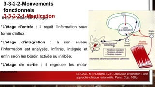 Il est structuré en 3 étages :
*L’étage d’entrée : il reçoit l’information sous
forme d’influx
*L’étage d’intégration : à son niveau
l’information est analysée, infiltrée, intégrée et
enfin selon les besoin activée ou inhibée.
*L’étage de sortie : il regroupe les moto-
neurones
3-3-2-2-Mouvements
fonctionnels
3-3-2-2-1-Mastication
LE GALI, M ; FLAURET, J.F. Occlusion et fonction : une
approche clinique rationnelle. Paris : Cdp. 160p.
 