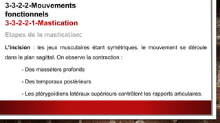 Etapes de la mastication:
L’incision : les jeux musculaires étant symétriques, le mouvement se déroule
dans le plan sagittal. On observe la contraction :
- Des masséters profonds
- Des temporaux postérieurs
- Les ptérygoïdiens latéraux supérieurs contrôlent les rapports articulaires.
3-3-2-2-Mouvements
fonctionnels
3-3-2-2-1-Mastication
 