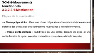 Etapes de la mastication:
→ Phase préparatoire : C’est une phase préparatoire d’ouverture et de fermeture à
distance des dents avec des contractions musculaires d’intensité moyenne.
→ Phase dento-dentaire : Subdivisée en une entrée dentaire de cycle et une
sortie dentaire de cycle, avec des contractions musculaires de forte intensité.
3-3-2-2-Mouvements
fonctionnels
3-3-2-2-1-Mastication
 