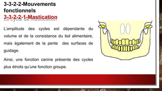 Le cycle de mastication
L’amplitude des cycles est dépendante du
volume et de la consistance du bol alimentaire,
mais également de la pente des surfaces de
guidage.
Ainsi, une fonction canine présente des cycles
plus étroits qu’une fonction groupe.
3-3-2-2-Mouvements
fonctionnels
3-3-2-2-1-Mastication
 