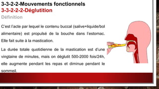 Définition
C’est l’acte par lequel le contenu buccal (salive+liquide/bol
alimentaire) est propulsé de la bouche dans l’estomac.
Elle fait suite à la mastication.
La durée totale quotidienne de la mastication est d’une
vingtaine de minutes, mais on déglutit 500-2000 fois/24h,
elle augmente pendant les repas et diminue pendant le
sommeil.
3-3-2-2-Mouvements fonctionnels
3-3-2-2-2-Déglutition
 