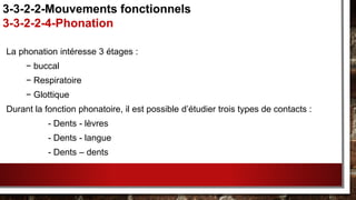 La phonation intéresse 3 étages :
− buccal
− Respiratoire
− Glottique
Durant la fonction phonatoire, il est possible d’étudier trois types de contacts :
- Dents - lèvres
- Dents - langue
- Dents – dents
3-3-2-2-Mouvements fonctionnels
3-3-2-2-4-Phonation
 