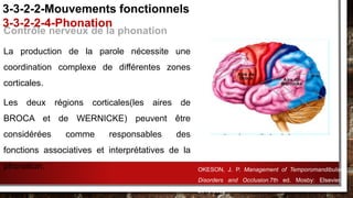 Contrôle nerveux de la phonation
La production de la parole nécessite une
coordination complexe de différentes zones
corticales.
Les deux régions corticales(les aires de
BROCA et de WERNICKE) peuvent être
considérées comme responsables des
fonctions associatives et interprétatives de la
phonation.
3-3-2-2-Mouvements fonctionnels
3-3-2-2-4-Phonation
OKESON, J. P. Management of Temporomandibular
Disorders and Occlusion.7th ed. Mosby: Elsevier,
2013.632p.
 
