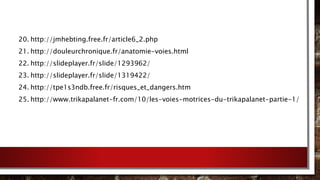 20. http://jmhebting.free.fr/article6_2.php
21. http://douleurchronique.fr/anatomie-voies.html
22. http://slideplayer.fr/slide/1293962/
23. http://slideplayer.fr/slide/1319422/
24. http://tpe1s3ndb.free.fr/risques_et_dangers.htm
25. http://www.trikapalanet-fr.com/10/les-voies-motrices-du-trikapalanet-partie-1/
 