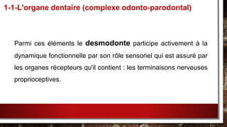Parmi ces éléments le desmodonte participe activement à la
dynamique fonctionnelle par son rôle sensoriel qui est assuré par
les organes récepteurs qu'il contient : les terminaisons nerveuses
proprioceptives.
1-1-L'organe dentaire (complexe odonto-parodontal)
 