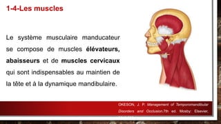 Le système musculaire manducateur
se compose de muscles élévateurs,
abaisseurs et de muscles cervicaux
qui sont indispensables au maintien de
la tête et à la dynamique mandibulaire.
1-4-Les muscles
OKESON, J. P. Management of Temporomandibular
Disorders and Occlusion.7th ed. Mosby: Elsevier,
2013.632p.
 