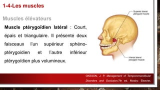 Muscle ptérygoïdien latéral : Court,
épais et triangulaire. Il présente deux
faisceaux l’un supérieur sphéno-
ptérygoidien et l’autre inférieur
ptérygoïdien plus volumineux.
1-4-Les muscles
Muscles élévateurs
OKESON, J. P. Management of Temporomandibular
Disorders and Occlusion.7th ed. Mosby: Elsevier,
2013.632p.
 