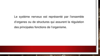 Le système nerveux est représenté par l’ensemble
d’organes ou de structures qui assurent la régulation
des principales fonctions de l’organisme.
 