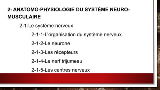 2- ANATOMO-PHYSIOLOGIE DU SYSTÈME NEURO-
MUSCULAIRE
2-1-Le système nerveux
2-1-1-L’organisation du système nerveux
2-1-2-Le neurone
2-1-3-Les récepteurs
2-1-4-Le nerf trijumeau
2-1-5-Les centres nerveux
 