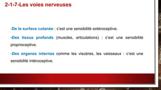 -De la surface cutanée : c’est une sensibilité extéroceptive.
-Des tissus profonds (muscles, articulations) : c’est une sensibilité
proprioceptive.
-Des organes internes comme les viscères, les vaisseaux : c’est une
sensibilité intéroceptive.
2-1-7-Les voies nerveuses
 