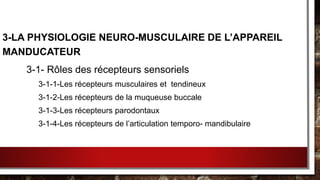 3-LA PHYSIOLOGIE NEURO-MUSCULAIRE DE L’APPAREIL
MANDUCATEUR
3-1- Rôles des récepteurs sensoriels
3-1-1-Les récepteurs musculaires et tendineux
3-1-2-Les récepteurs de la muqueuse buccale
3-1-3-Les récepteurs parodontaux
3-1-4-Les récepteurs de l’articulation temporo- mandibulaire
 