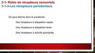 On peut décrire dans le parodonte :
Des récepteurs à adaptation rapide
Des récepteurs à adaptation lente
Des récepteurs à activité spontanée
3-1- Rôles de récepteurs sensoriels
3-1-3-Les récepteurs parodontaux
 